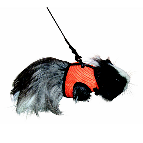 PETTORINA PER PORCELLINO D'INDIA E CONIGLIO