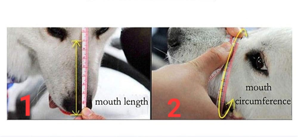 PLASTIC AND FAUX LEATHER MUZZLE - BEIGE