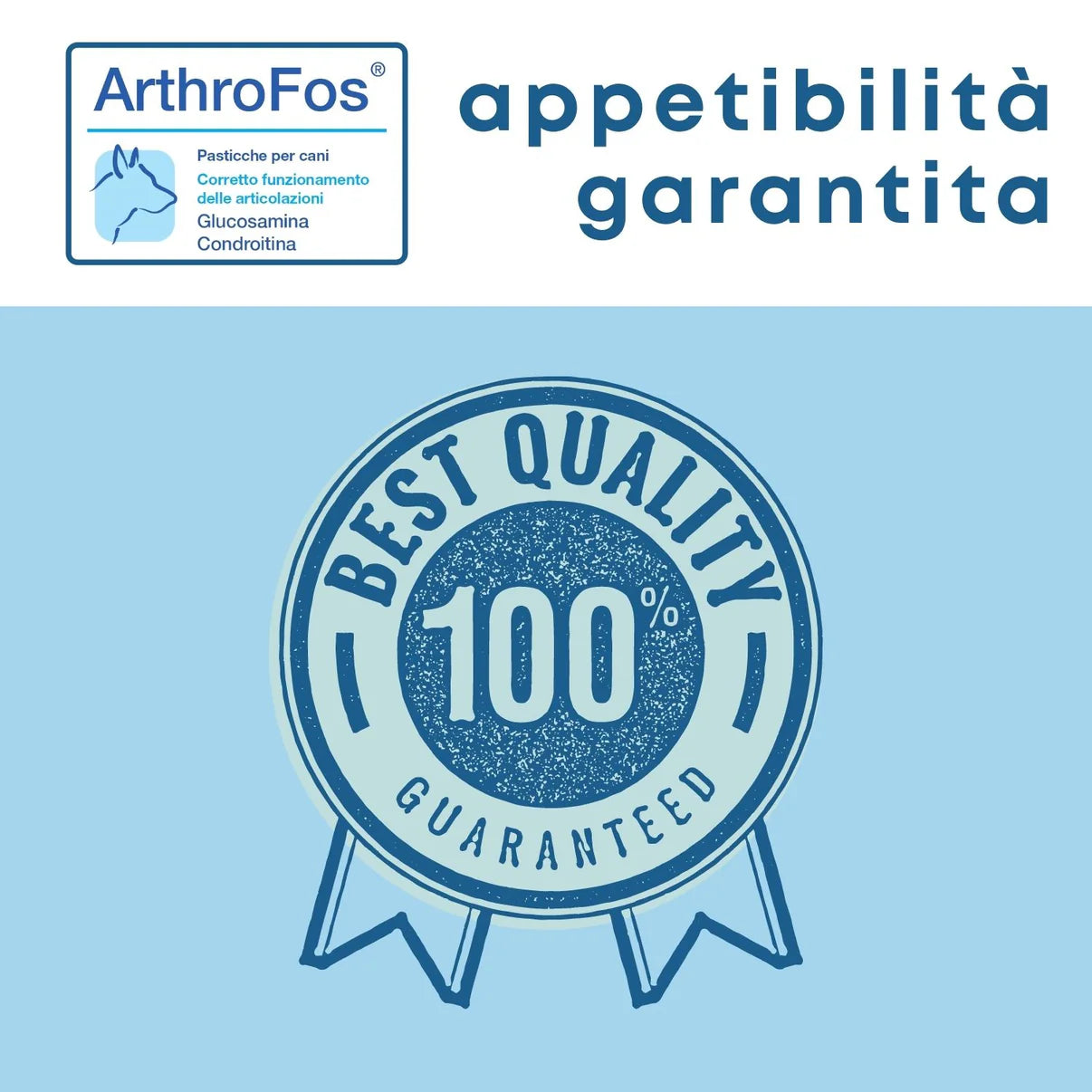 DOLFOS ARTHROFOS 60 pas. - 60gr