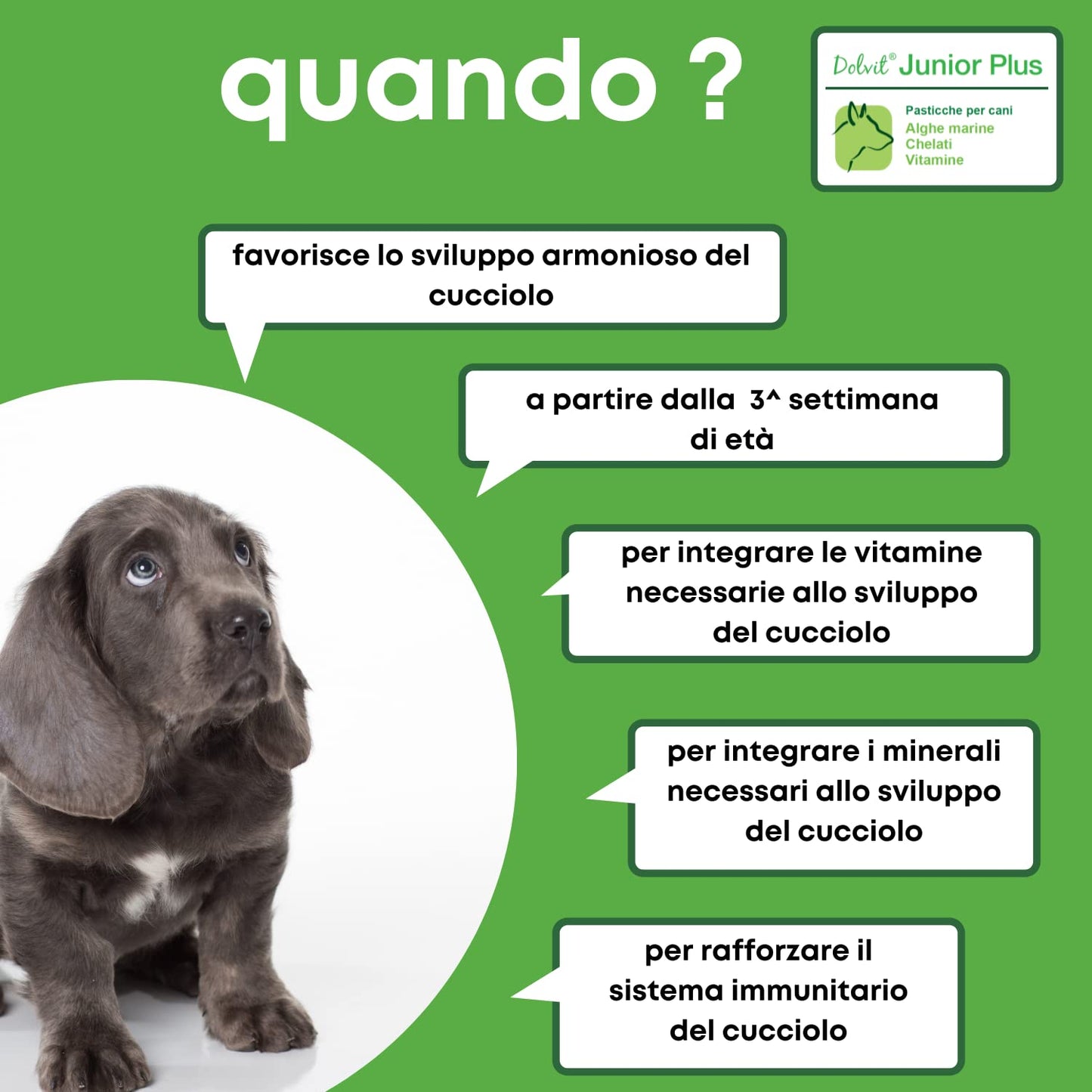 DOLVIT JUNIOR PLUS PER CANI 90 PASTICCHE