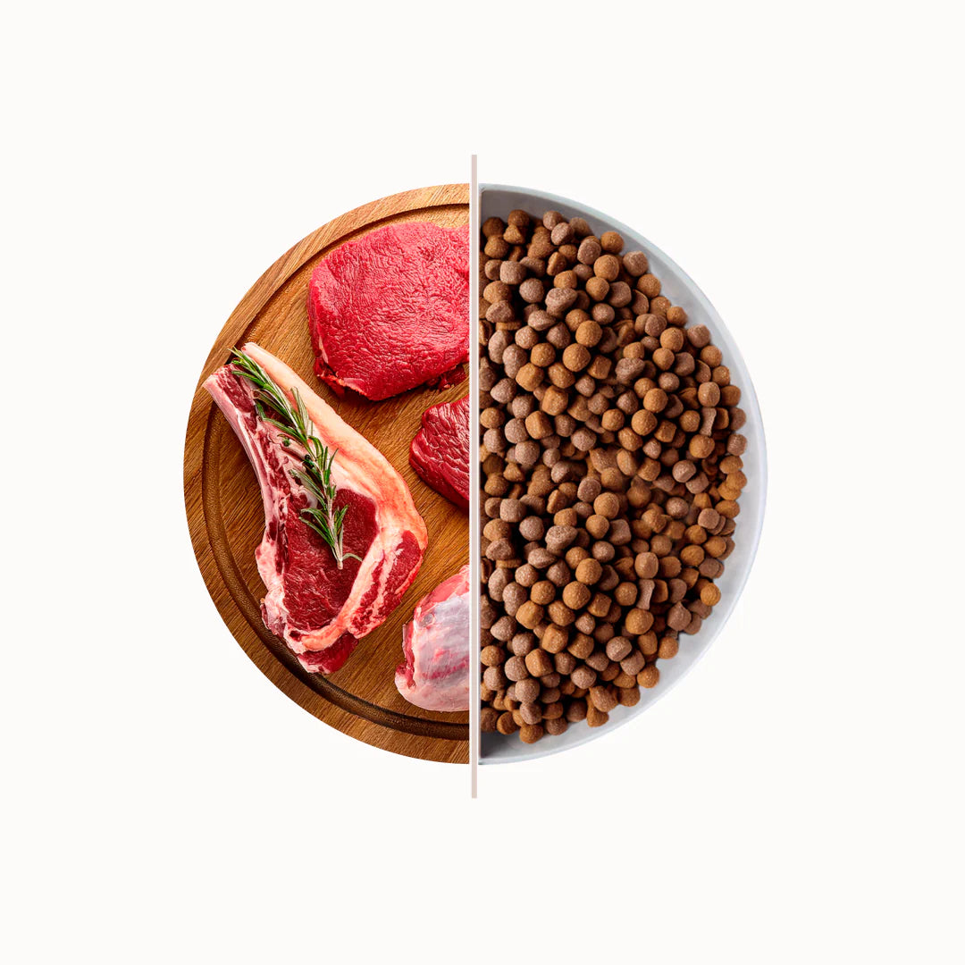 TOP PREMIUM FOOD PUPPIES E JUNIOR - AGNELLO