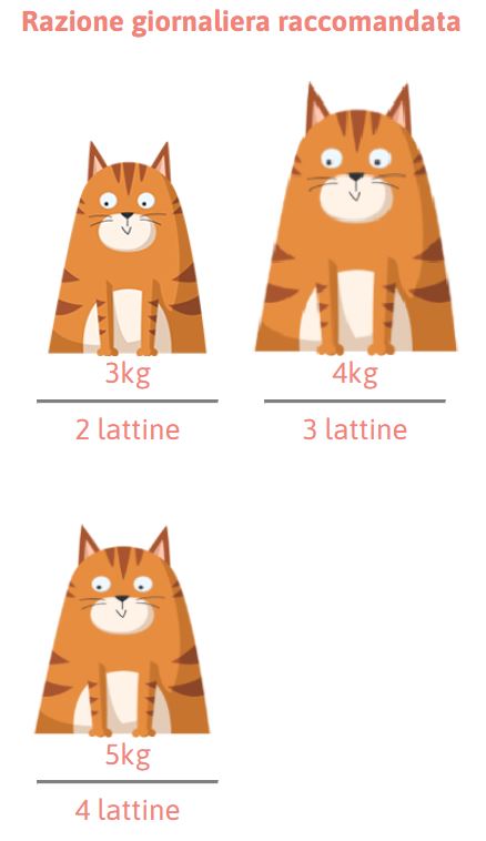 PETREET ADULT IN BRODO DI PESCE A56 - TONNO CON CAROTE 70G