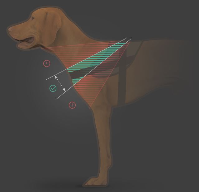 JULIUS-K9 POWERHARNESS - BLU - M