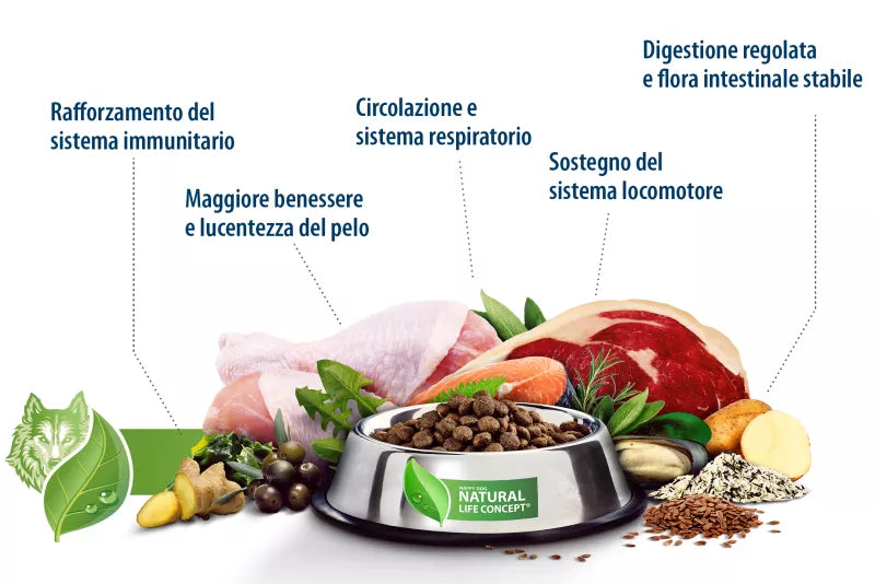 NQ Mini Salmone e Riso 800gr.