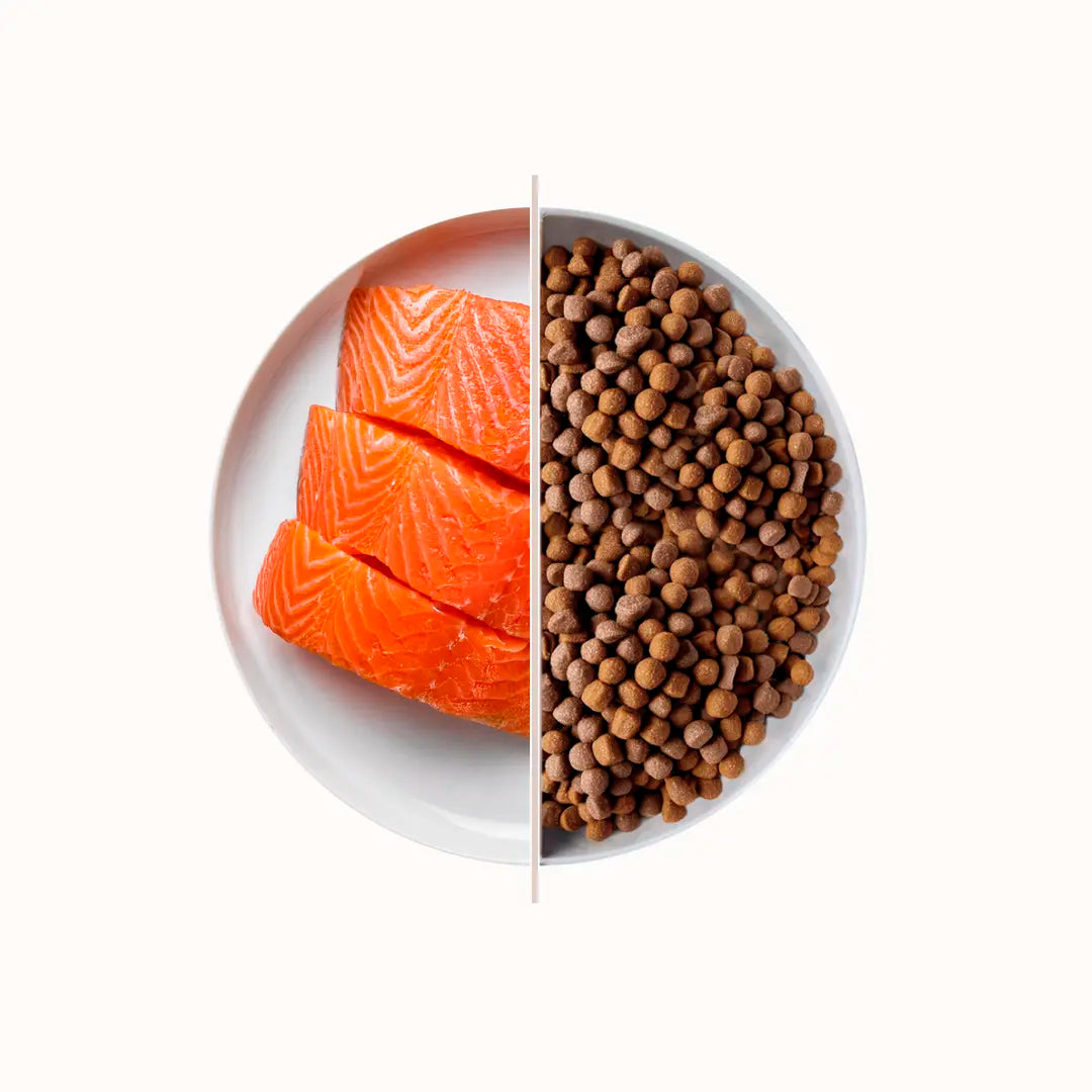 TOP PREMIUM FOOD - SALMON