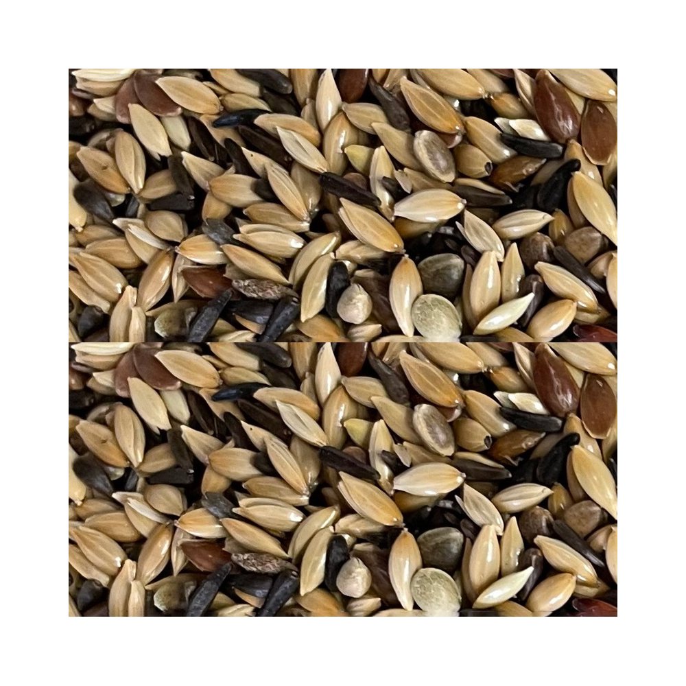 MANGIME PER CARDELLINI BIRD MISCELA M 5 kg