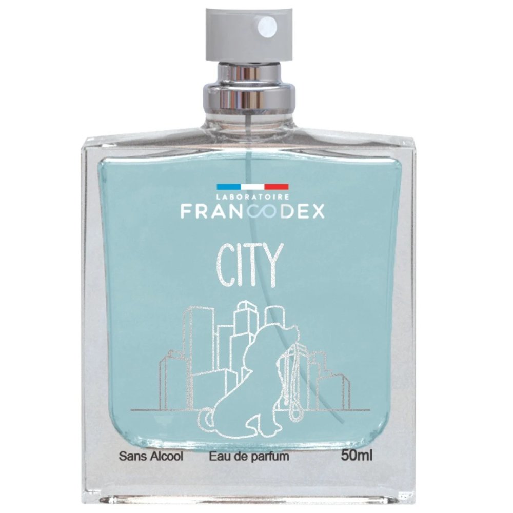 ACQUA DI PROFUMO CITY 50 ml