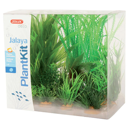 PLANTKIT JALAYA MIX 6 PEZZI