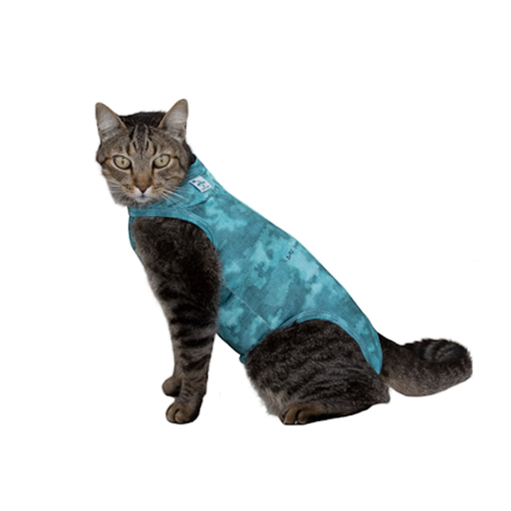 BODY POST OPERATORIO GATTO