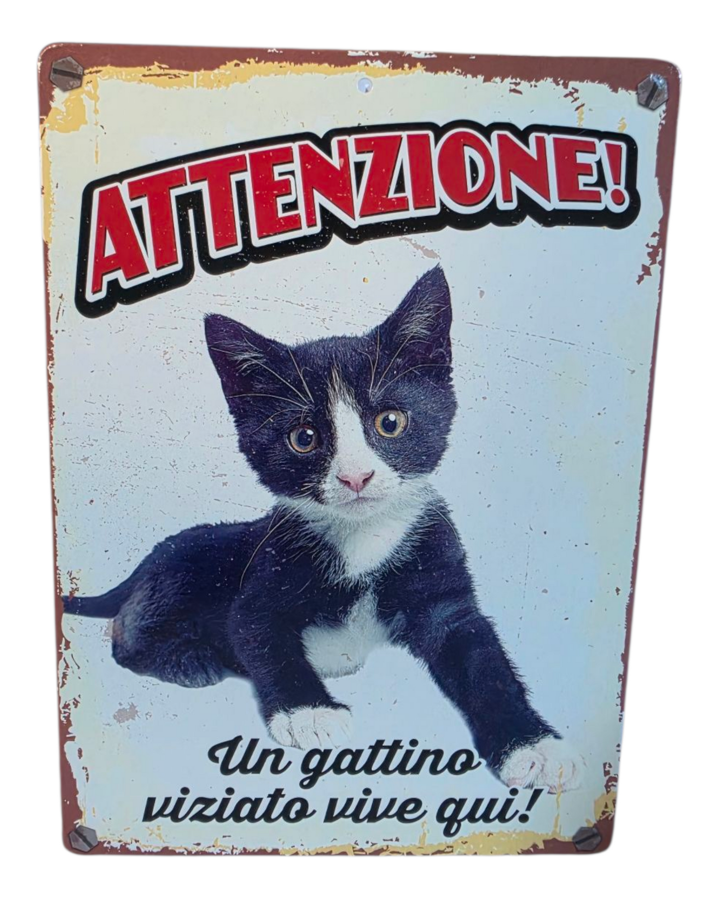 TARGHETTA DECORATIVA - GATTO VIZIATO