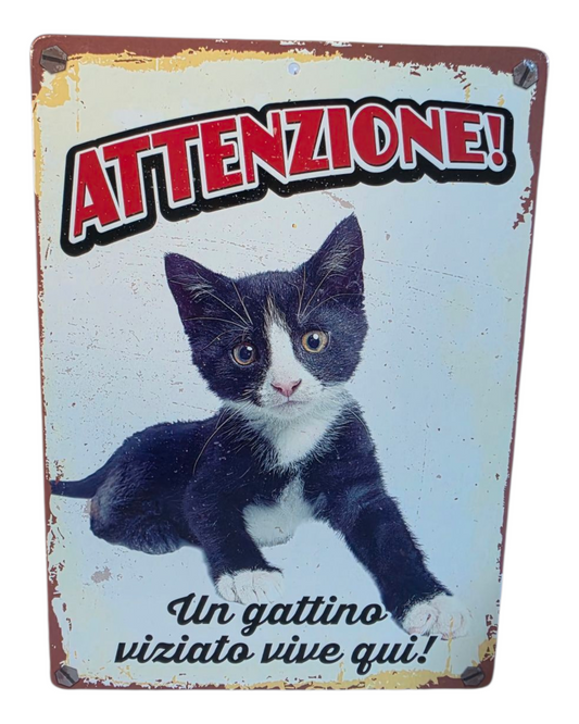 TARGHETTA DECORATIVA - GATTO VIZIATO