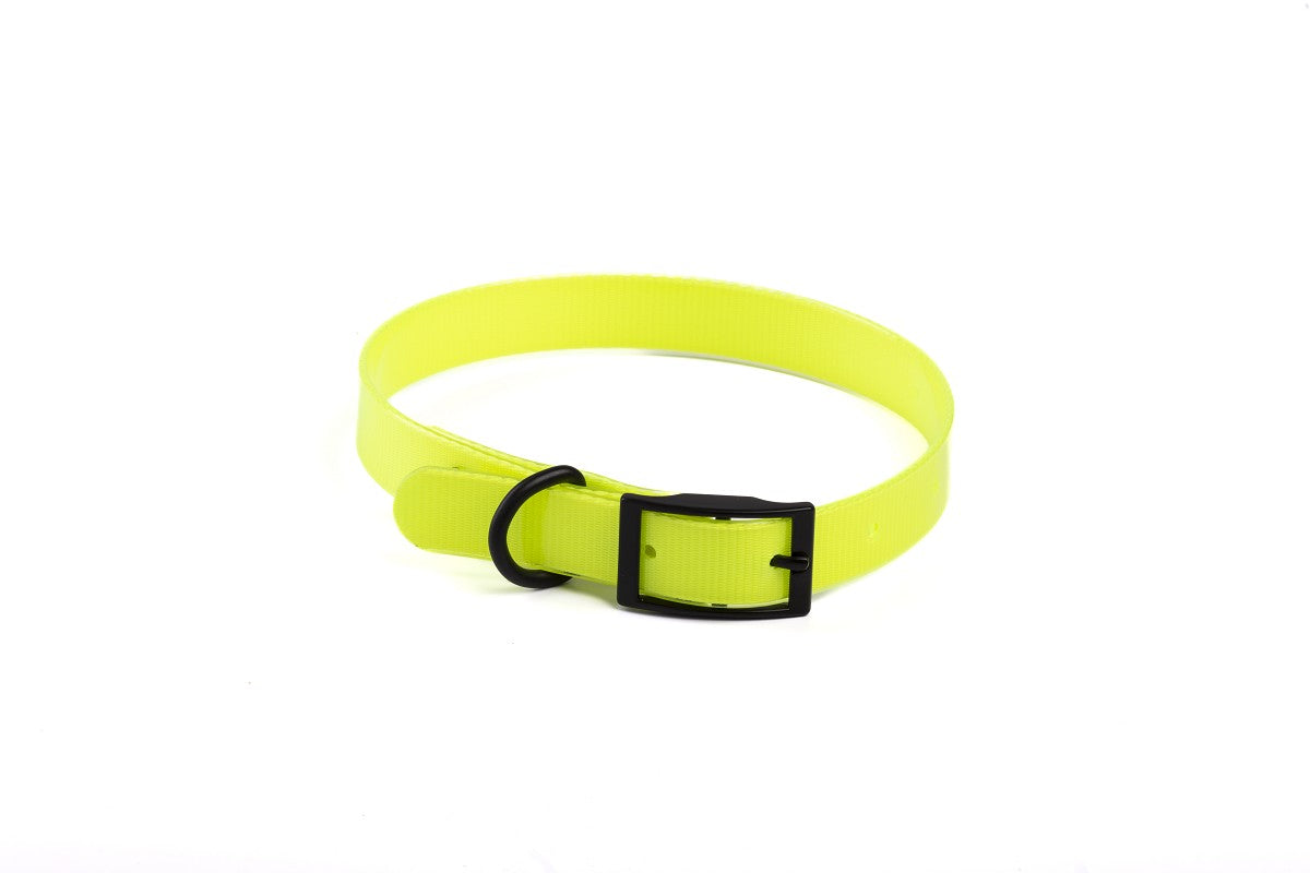 COLLARE IN BIOTHENE - GIALLO NEON