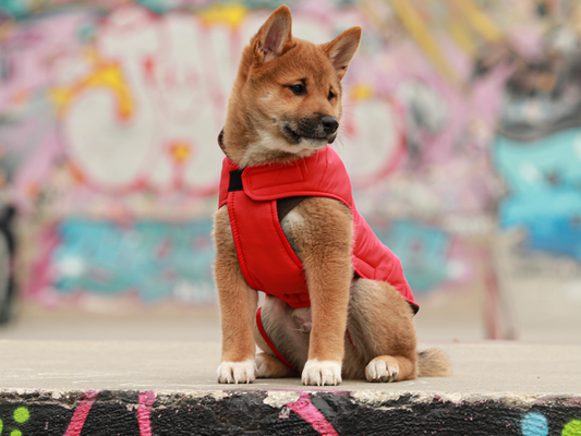 PIUMINO IMPERMEABILE "LONDON" - ROSSO