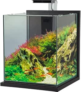Zolux Jalaya XXL Acquario in Vetro con Supporto Illuminazione Filtro 31,5 L GRIGIO ANTRACITE