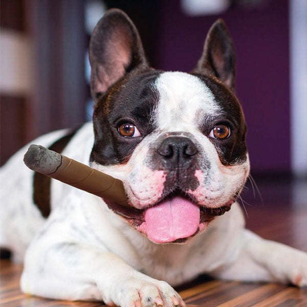 SIGARO IN LATTICE CON SQUEAK