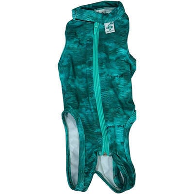 BODY POST OPERATORIO CANE