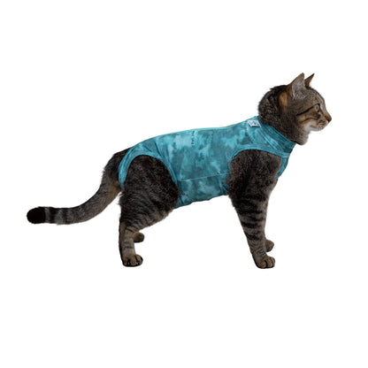 BODY POST OPERATORIO GATTO