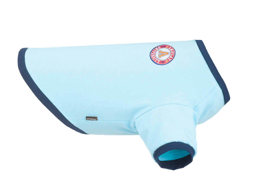 T-SHIRT MIAMI - BLU