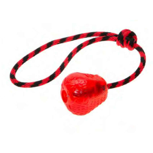 COMFY - Fragola con corda STRONG DOG