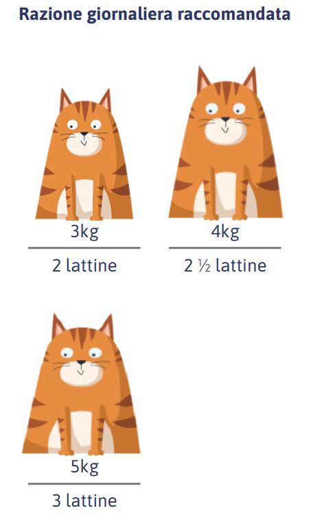 PETREET ADULT PURO SAPORE A42 - TONNO CON GAMBERETTI 70G