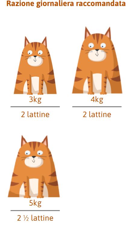 PETREET ADULT SFILACCETTI A22 - POLLO CON GAMBERETTI 70G