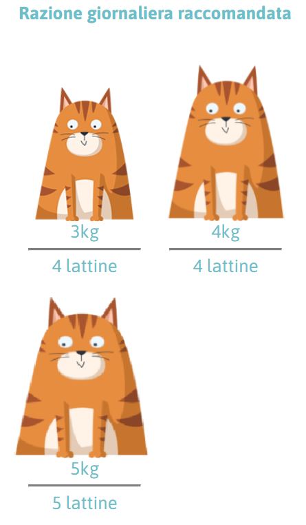 PETREET ADULT VELLUTATE A73 - POLLO 70G