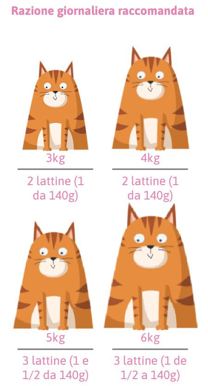 PETREET ADULT IN JELLY A13 - TONNO CON CALAMARI 70G