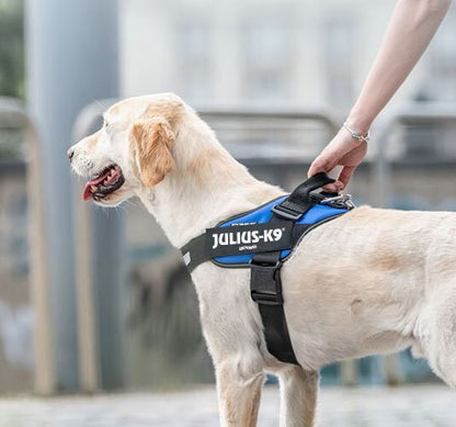 JULIUS-K9 POWERHARNESS - BLU - M
