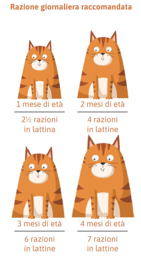 PETREET KITTEN VELLUTATE K04 - POLLO CON LATTE DI CAPRA 60G