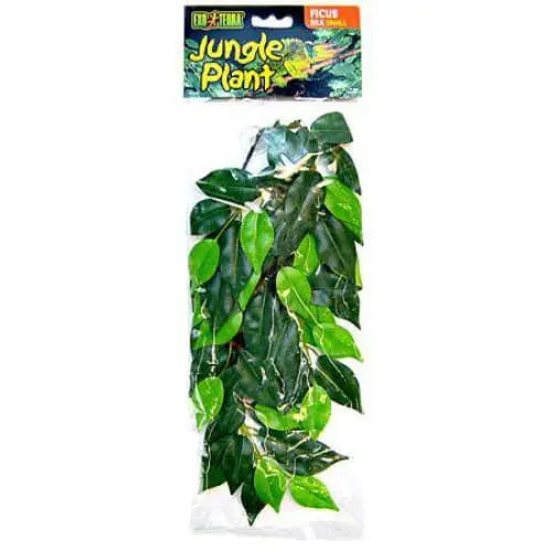 JUNGLE PLANT - FICUS