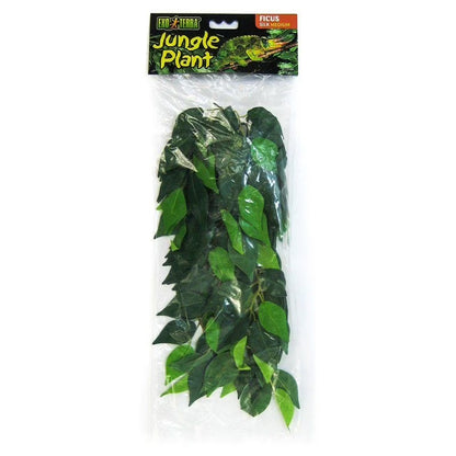 JUNGLE PLANT - FICUS