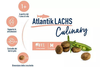 Happy Cat Culinary Atlantic Salmon 1,3Kg.