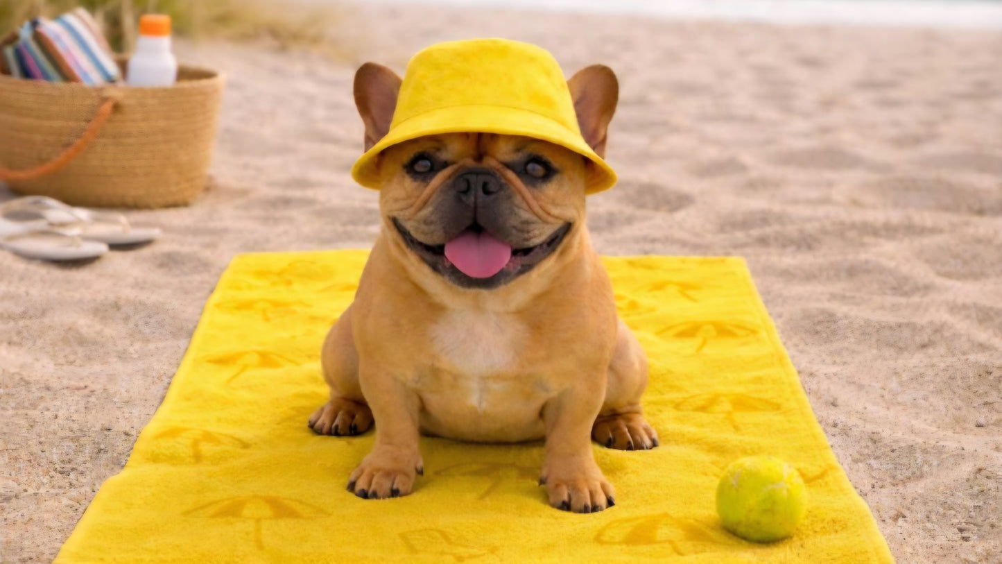 CAPPELLO PER CANI