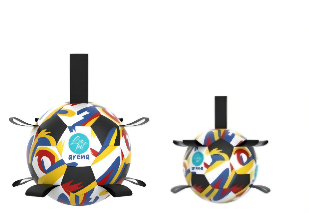 PALLA DA CALCIO ARENA