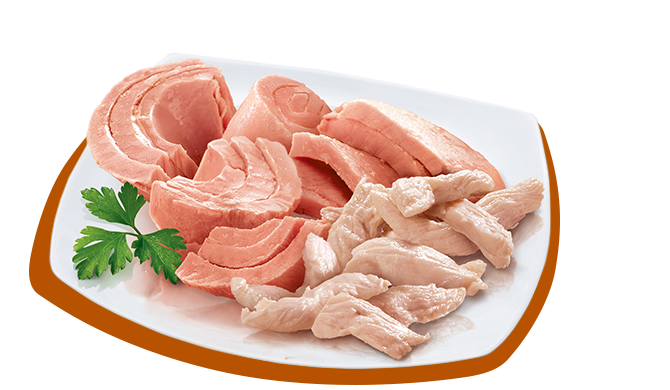 PETREET ADULT SFILACCETTI A21 - TONNO CON POLLO 70G