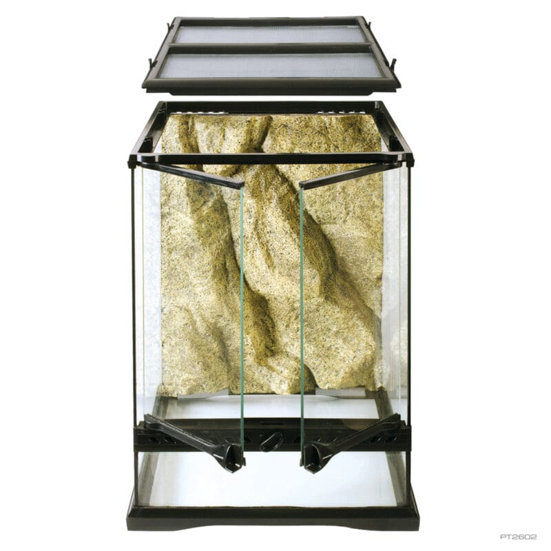 Terrario Glass ExoTerra Rettili Serpenti 30x30x45 Serpenti Habitat Pogona Turtle