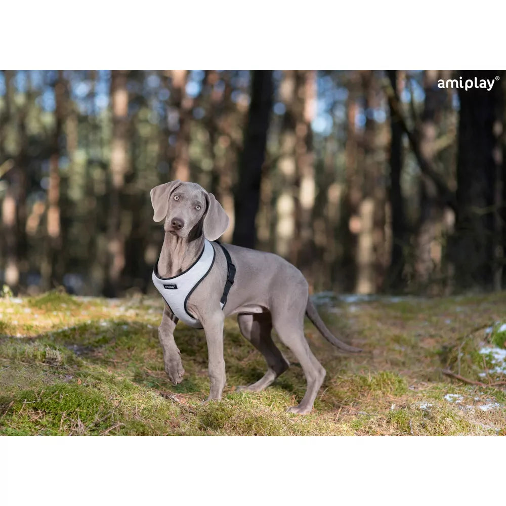 PETTORINA "SCOUT" - GRIGIO - L