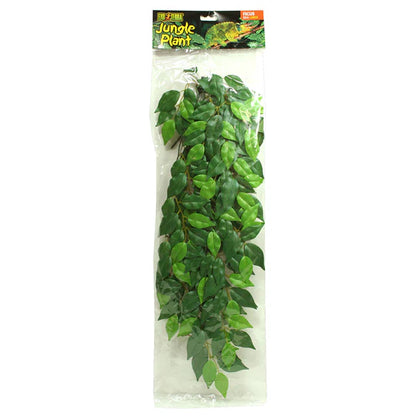JUNGLE PLANT - FICUS