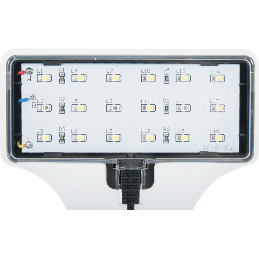 Zolux Jalaya XXL Acquario in Vetro con Supporto Illuminazione Filtro 31,5 L GRIGIO ANTRACITE