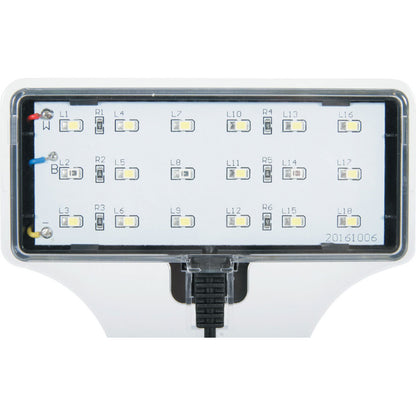 Zolux Jalaya XXL Acquario in Vetro con Supporto Illuminazione Filtro 31,5 L GRIGIO ANTRACITE