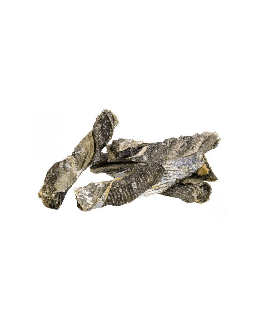 ROLLS DI PESCE PER CANI - 50g (4 pezzi)