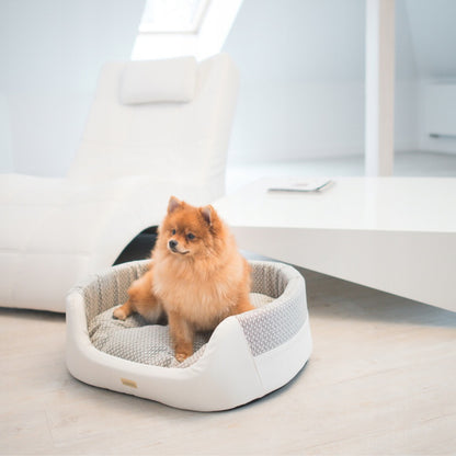 LETTO ELLISSE MORGAN AMIPLAY 2 IN 1 - BIANCO/BEIGE