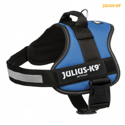 JULIUS-K9 POWERHARNESS - BLU - M