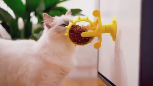 SNACKY WHEEL - DISTRIBUTORE DI SNACK INTERATTIVO