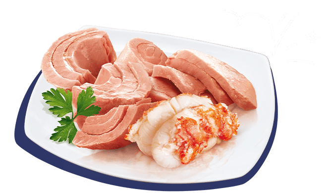 PETREET ADULT PURO SAPORE A41 - TONNO CON SURIMI 70G