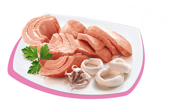 PETREET ADULT IN JELLY A13 - TONNO CON CALAMARI 70G