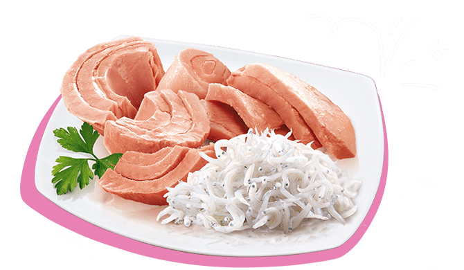 PETREET ADULT IN JELLY A10 - TONNO CON PESCE DELL'OCEANO 70G