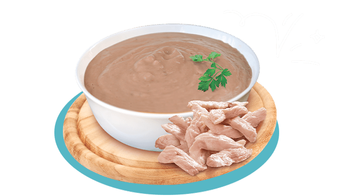 PETREET ADULT VELLUTATE A73 - POLLO 70G