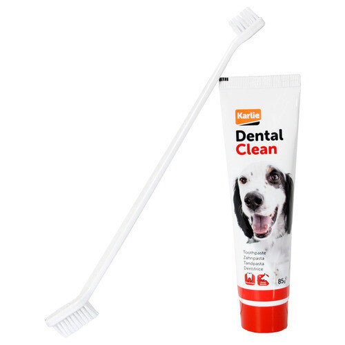 DENTIFRICIO E SPAZZOLINO DA DENTI