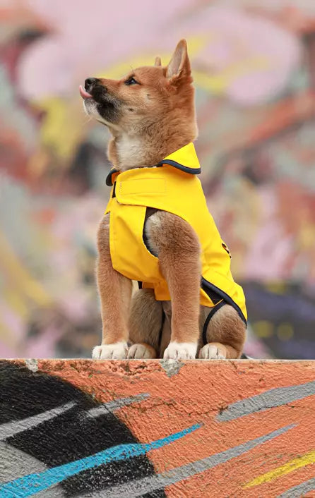 IMPERMEABILE "SAINT-MALO" GIALLO